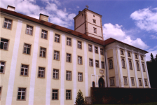 Afrika Museum in Schloss Riedegg